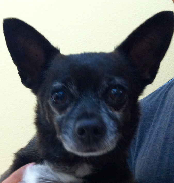 Quincy