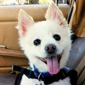 Max