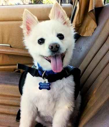Max