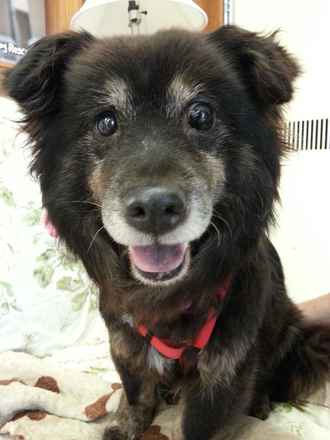 Annie