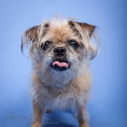 Peggy