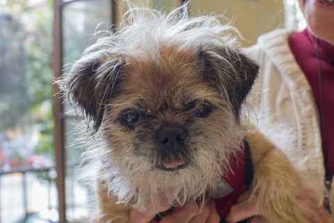 Peggy