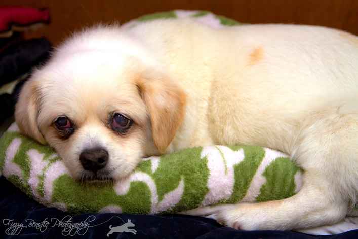 Sadie