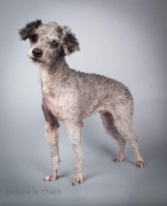 Penelope