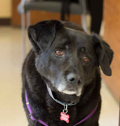 Zoe