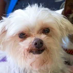 Itsy