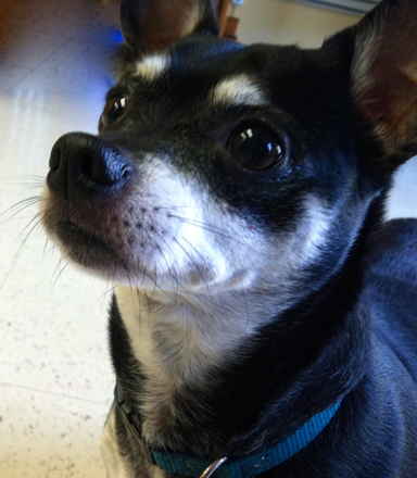 Buster