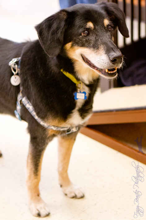 Baxter