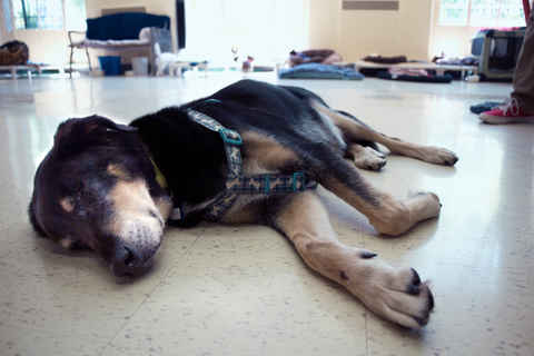 Baxter