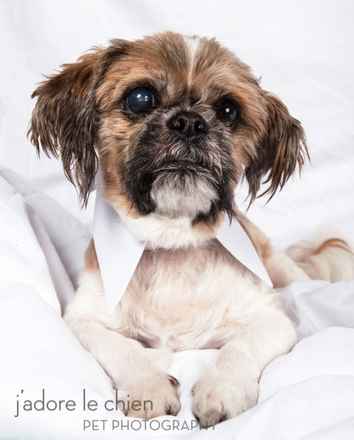 Mugsy