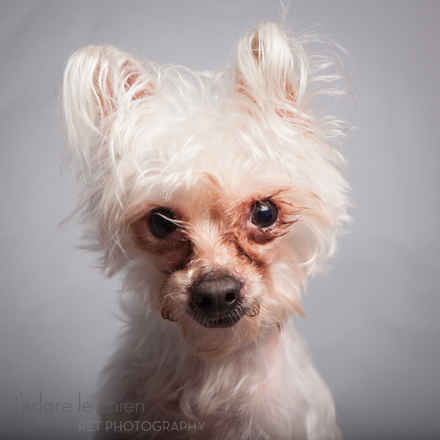 Casper