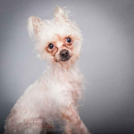 Casper