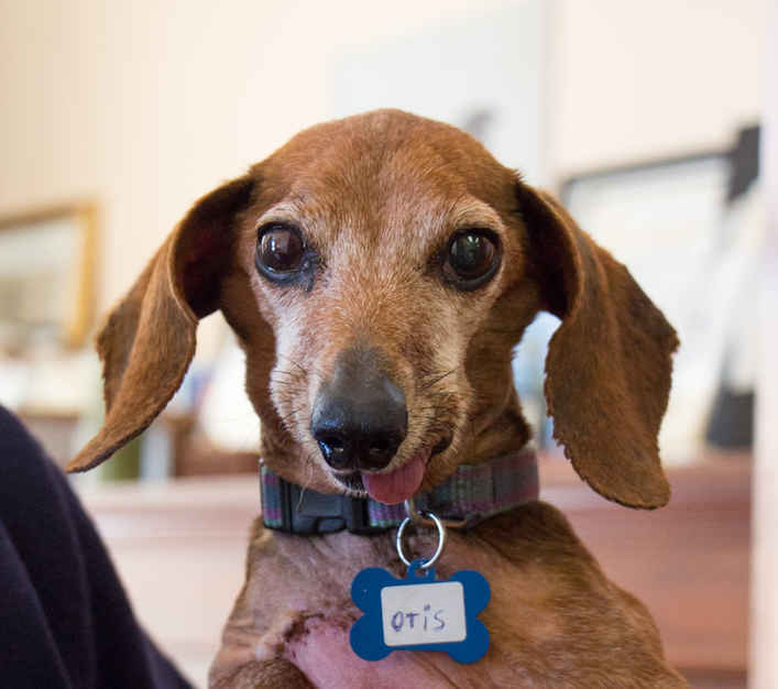 Otis