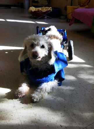 Spanky
