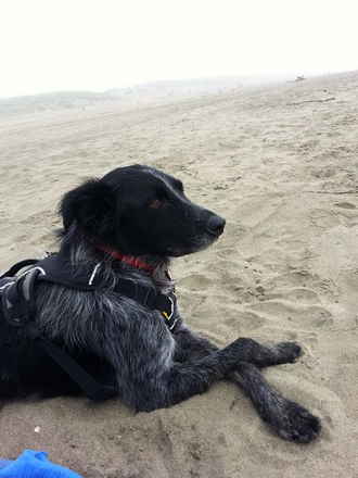 Lexy