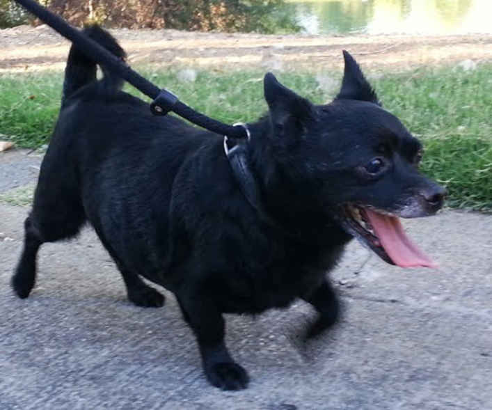 Tim