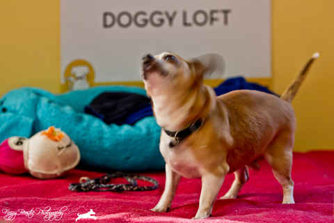 Elliot