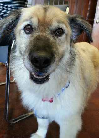 Cheyenne