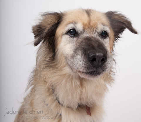Cheyenne