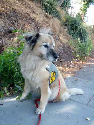 Cheyenne