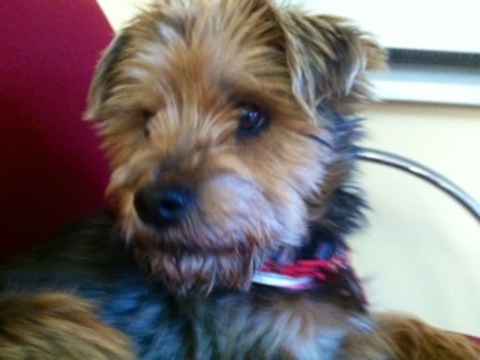 Aiden