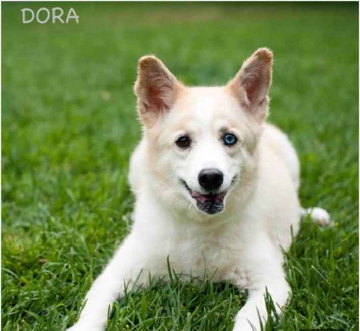 Dora