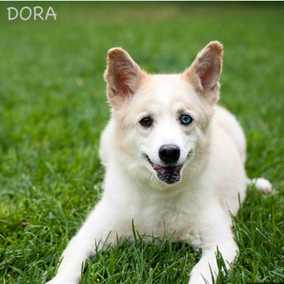 Dora
