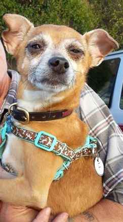 Sampson
