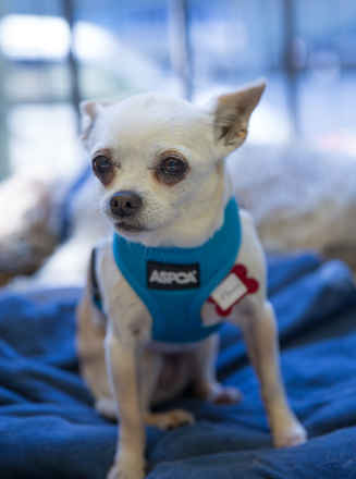 Mandy