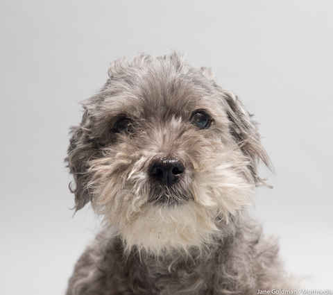 Benson
