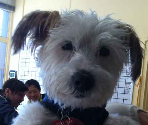 Molly
