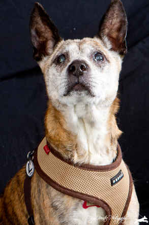 MoneyPenny