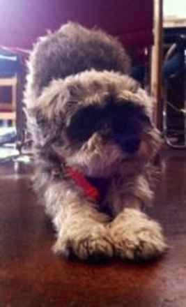 Charlie
