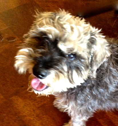 Charlie