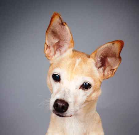 Shiloh