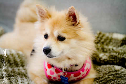 Samantha