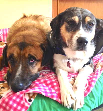 Dottie and Rocco