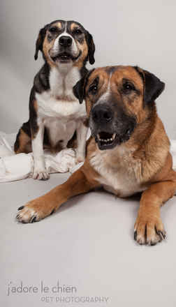 Dottie and Rocco