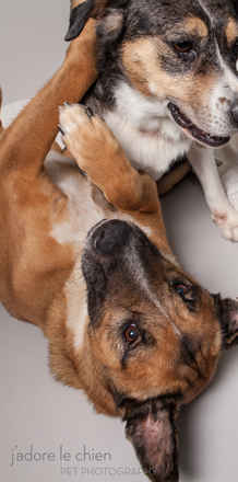 Dottie and Rocco