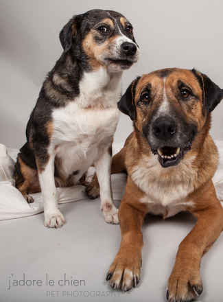Dottie and Rocco