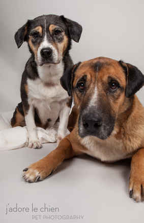 Dottie and Rocco