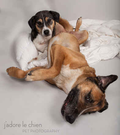 Dottie and Rocco