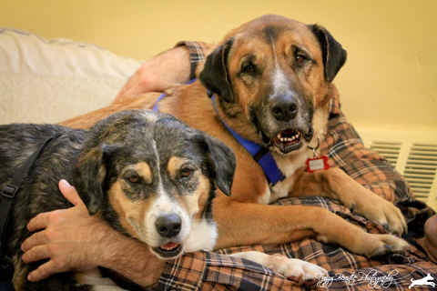 Dottie and Rocco