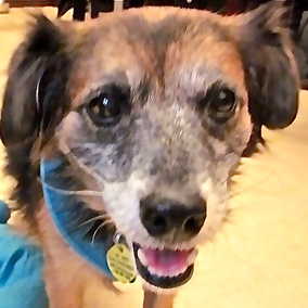 Zoey