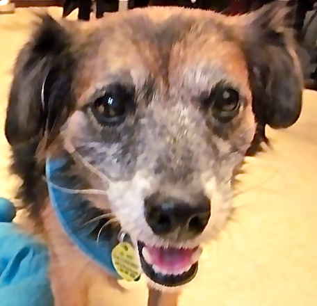 Zoey