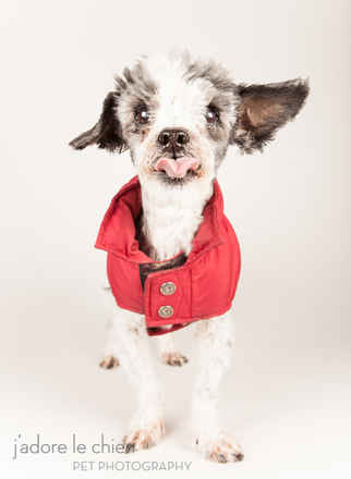 Riggs