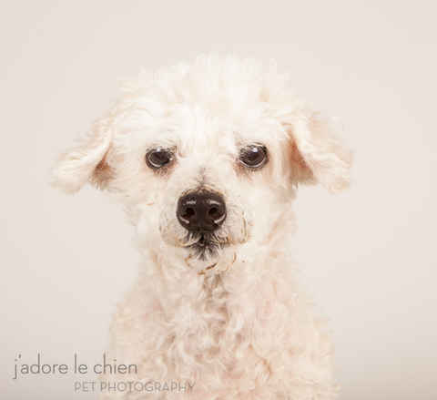 Maude