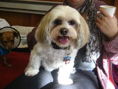 Bailey
