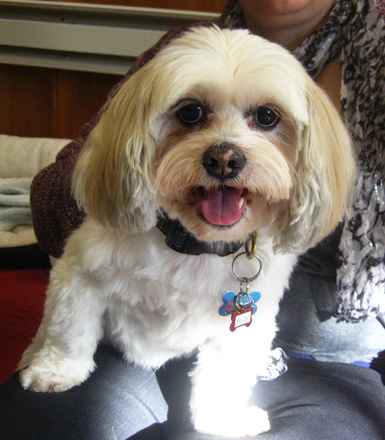 Bailey