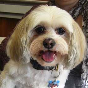 Bailey